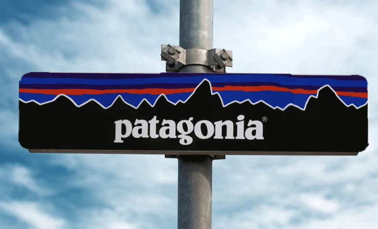 Inside Patagonia Brand Values and Communication - TDH Online Agency