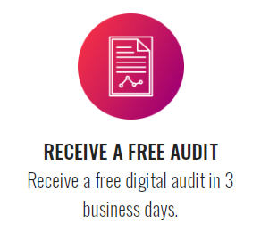 free audit